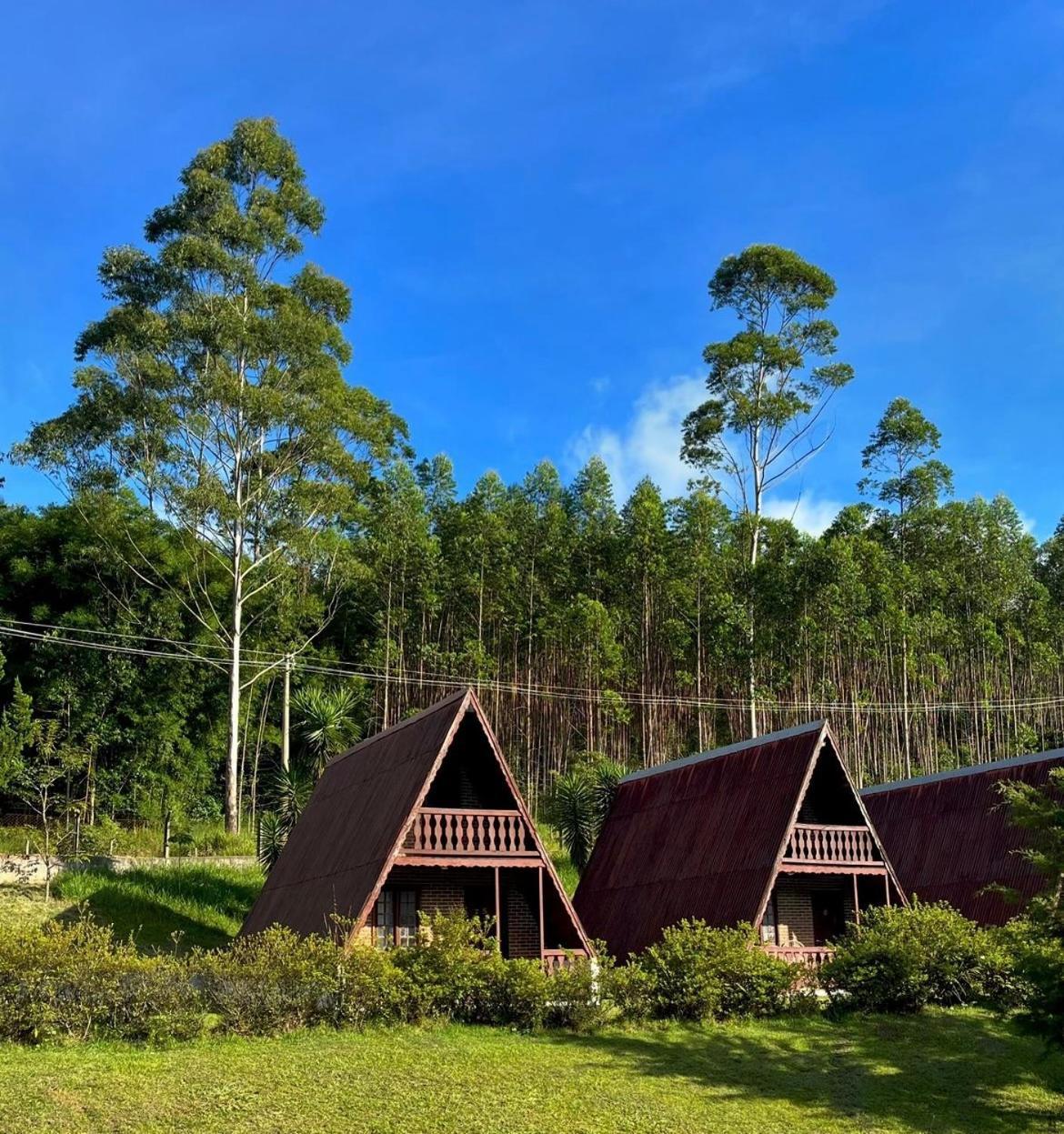 Chale Do Coruja Lodge *